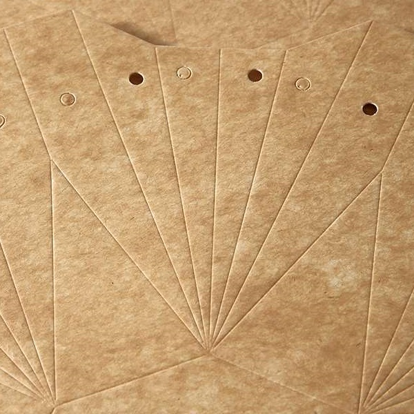 Aqua Box - pakuotė (10 dėžučių) - Image 3